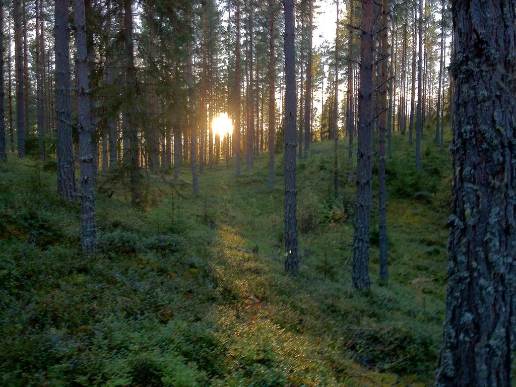 Rustika Strandstugor Utanfoer Raettvik Экстерьер фото